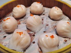 -采蝶轩