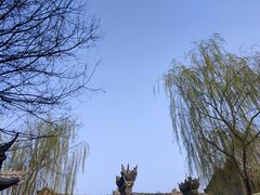 -渭南桃花源民俗文化园