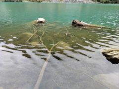 -叠溪松坪沟景区