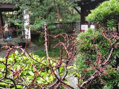 -成都杜甫草堂博物馆