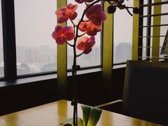 -粤秀餐厅(国货店)