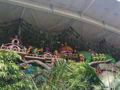 -南宫五洲植物乐园