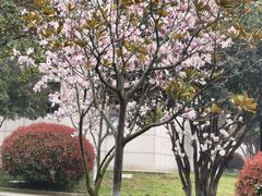 -南京医科大学(江宁校区)