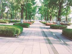 -百林公园-两江幸福广场