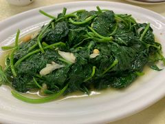 番薯叶-惠来大排档(联创商业街店)