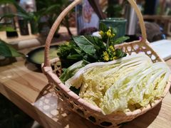 -椰夫人·养生椰子鸡(金沙洲永旺店)