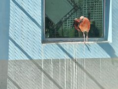 -青藏高原野生动物园