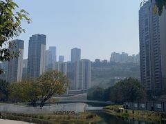 -俏牛哥鲜牛肉牛肆馆(重庆天地店)