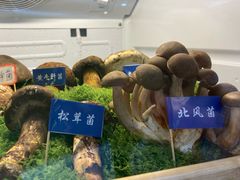 -束河人家(南锣鼓巷店)