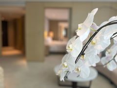 -北京康莱德酒店