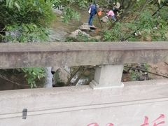 -重庆彩云湖湿地公园