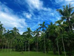 -中国科学院西双版纳热带植物园