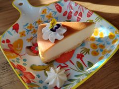 -三忘湖 SWANSEEN(柳荫公园店)