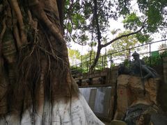 -胡里山炮台