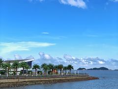 -野狸岛