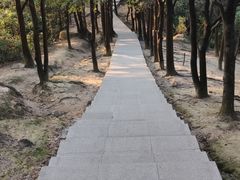 -火炉山森林公园