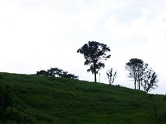 -前童古镇