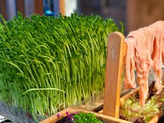 -湊湊火锅·茶憩(世博大道店)