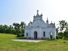 -杭州湾海上花田景区