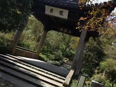 -龙井村
