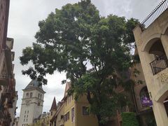 -中旅阿那亚九龙湖·公主酒店