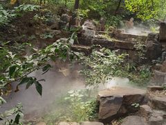 -北京西山国家森林公园