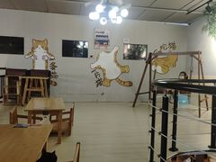 -豆逗聊愈猫阁Easy Life