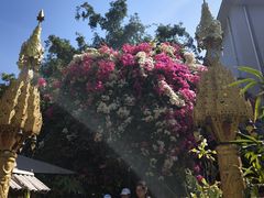 -品德宏·孔雀宴的发源地(金塔园店)