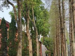 -安庆师范大学(菱湖校区)