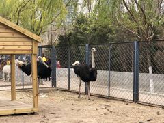 -长白岛森林公园