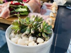 -EATALIA意塔利意式餐厅(鼓楼店)