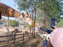 -大连森林动物园