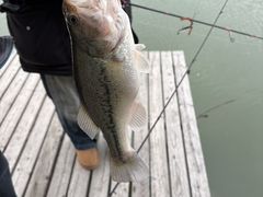 -新怡路亚垂钓园