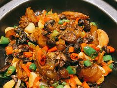 小香菇焖蹄筋-鸡毛店·川菜(双楠店)