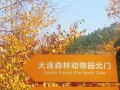 -大连森林动物园