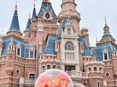 -上海迪士尼度假区