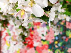 -海棠花溪(元大都城垣遗址公园)