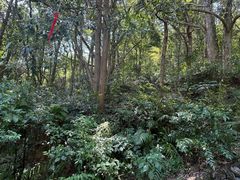 -富春桃源风景区