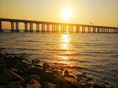 -宝安西湾红树林湿地公园