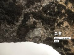 -武陵山森林公园