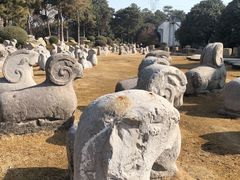 -中国唐苑
