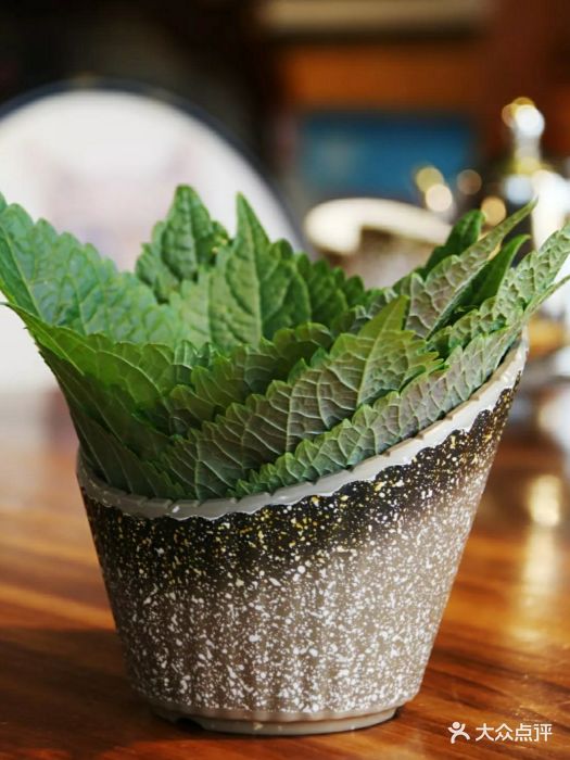 火车小镇一品极炙烤肉精酿苏子叶图片 - 第1张