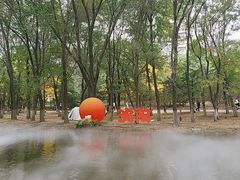 -长白岛森林公园