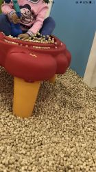 -万达宝贝王(长春红旗街店)