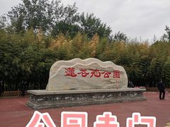 -莲花池公园