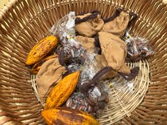 -歌斐颂巧克力小镇