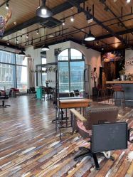 -IDOL-PLUS