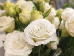 -花屿鲜花(淡水店)