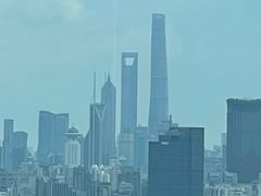 -环球港凯悦 · 享悦中餐厅