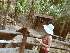 -清迈夜间动物园